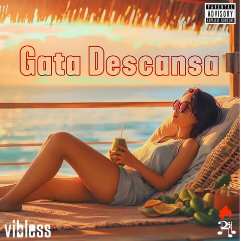Gata Descansa