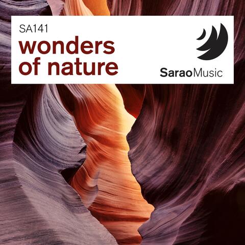 Wonders Of Nature