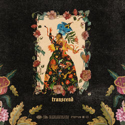 transcend