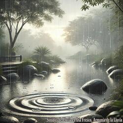 Sonidos de Lluvia en Día Fresco, Relajación para el Alma