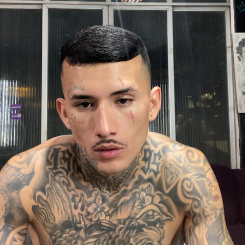 A CARA UM CANO 2