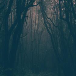 Mellow Ghost - Liminal Version