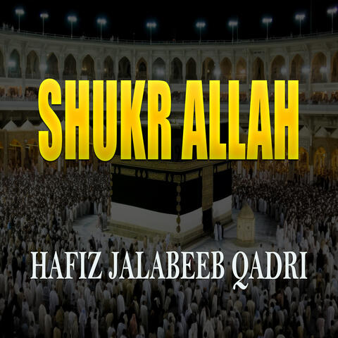 Shukr Allah