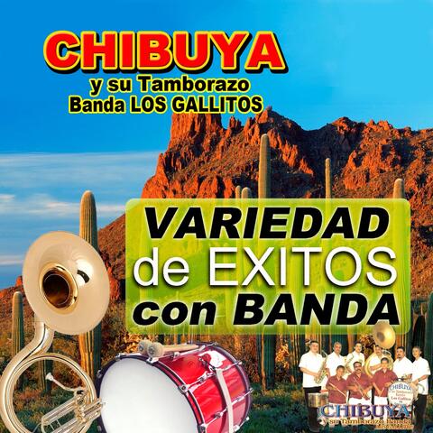 Variedad De Exitos Con Banda