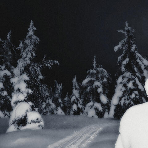 WINTER ARC