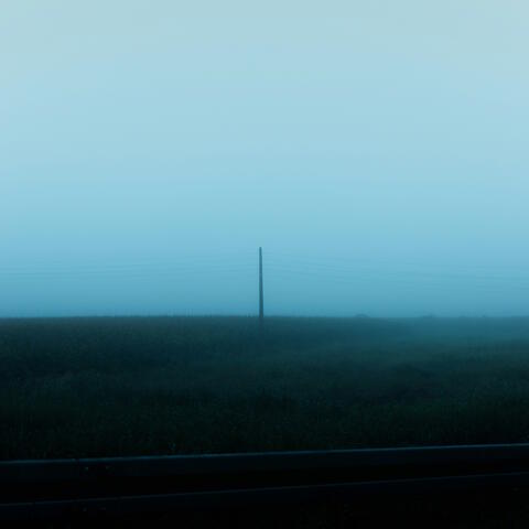 rebirth