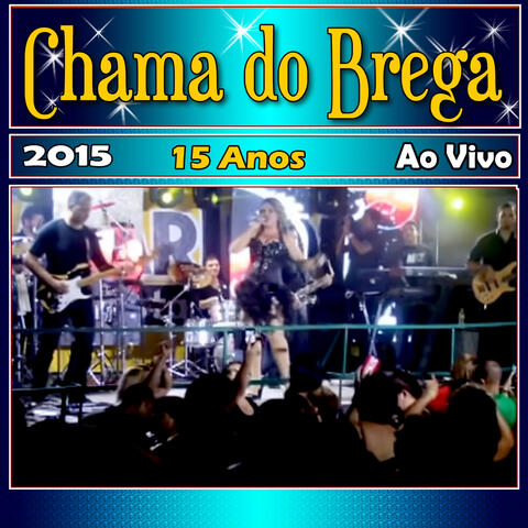 15 Anos Ao Vivo 2015