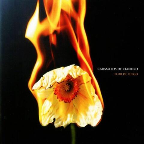 Flor De Fuego