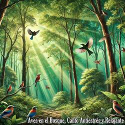 Aves en el Bosque, Canto Antiestrés y Relajante