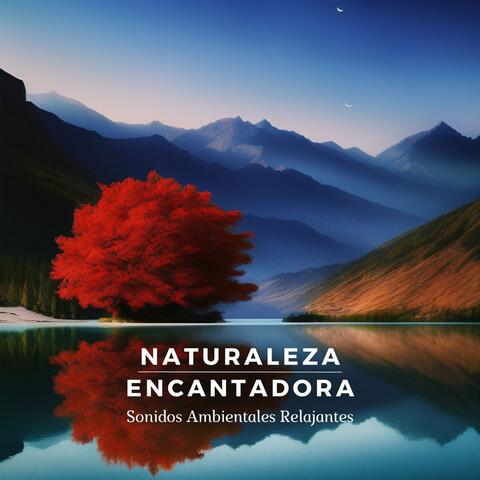 Naturaleza Encantadora: Sonidos Ambientales Relajantes y Curativos