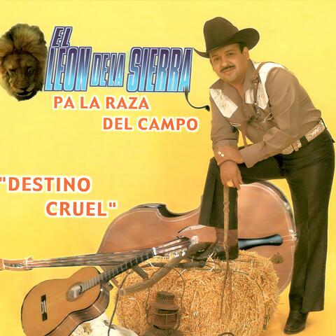 Destino Cruel
