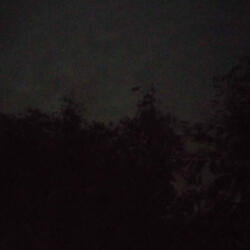 Sorry About the Other Night...