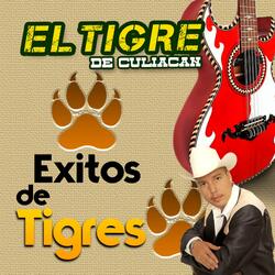 China De Los Ojos Negros
