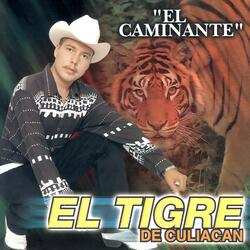 Yo Soy El Tigre