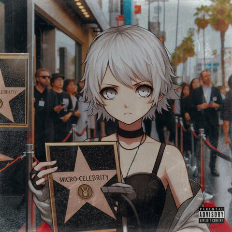 micro-celebrity