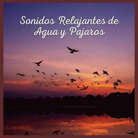Sonidos Relajantes de Agua y Pajaros