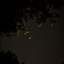 it was just like before