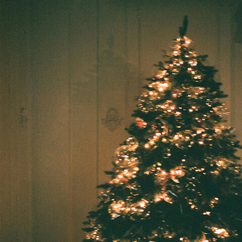 Healing Holiday