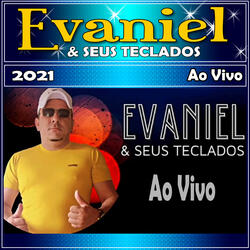 Com Você ou Sem Você - Ao Vivo