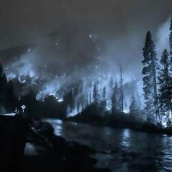 harmonic fog