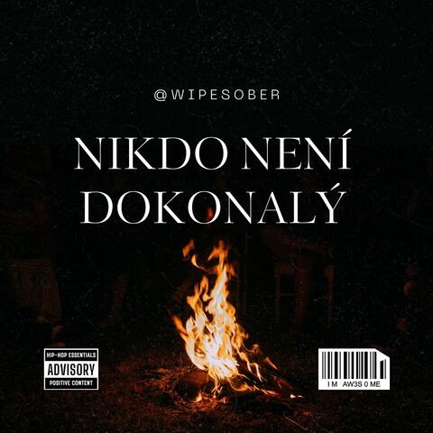 Nikdo není dokonalý