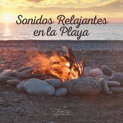 Sonidos Relajantes en la Playa (13)