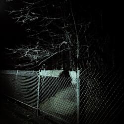 Sleep Forever