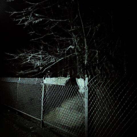 Sleep Forever