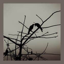 When My Sadness Met Yours