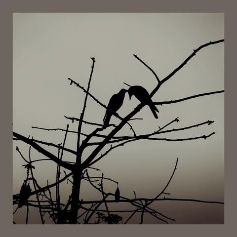 When My Sadness Met Yours