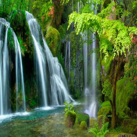 Rekh Lena Bharam Mera