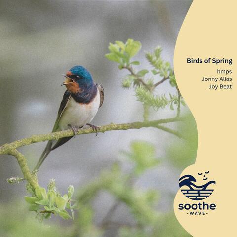 Birds of Spring