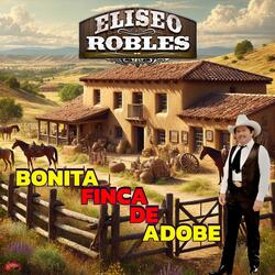 Bonita Finca De Adobe