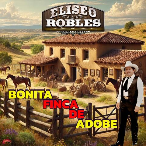 Bonita Finca De Adobe