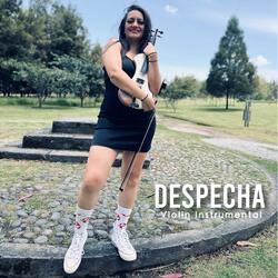 Despechá ( Violin Instrumental )