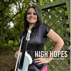 High Hopes ( Violin Instrumental )