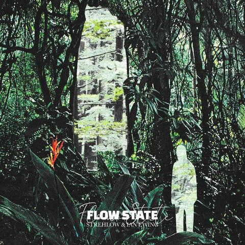 Flow State
