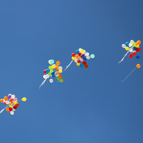 Say You Won't Let Go