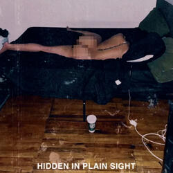 Hidden in Plain Sight - Instrumental