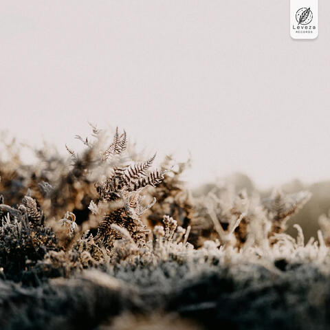 frosted terrace