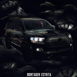 AUTOMOTIVO ESTRITA - Sped Up