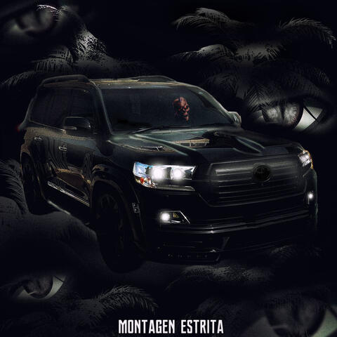 AUTOMOTIVO ESTRITA