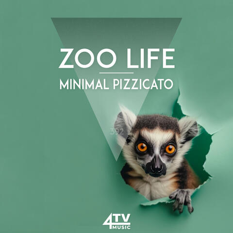 Zoo Life - Minimal Pizzicato
