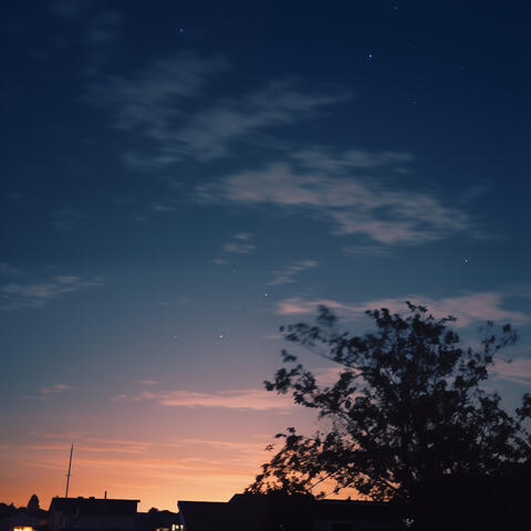 new life