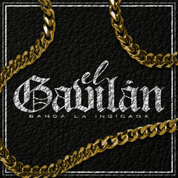 El Gavilán