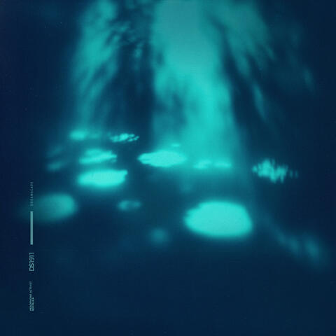 noctiluca