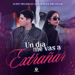 Me Vas a Extrañar