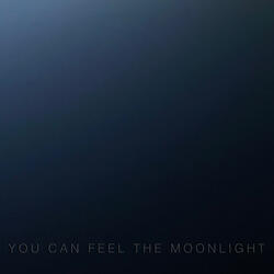 you can feel the moonlight
