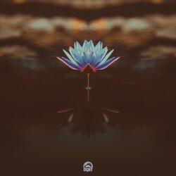 Lotus Memory