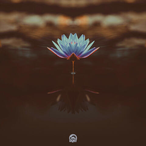 Lotus Memory